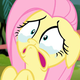 Sorry, Fluttershy. (My Little Pony: Friendship Is Magic)